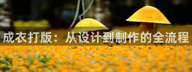 天辰臣娱乐