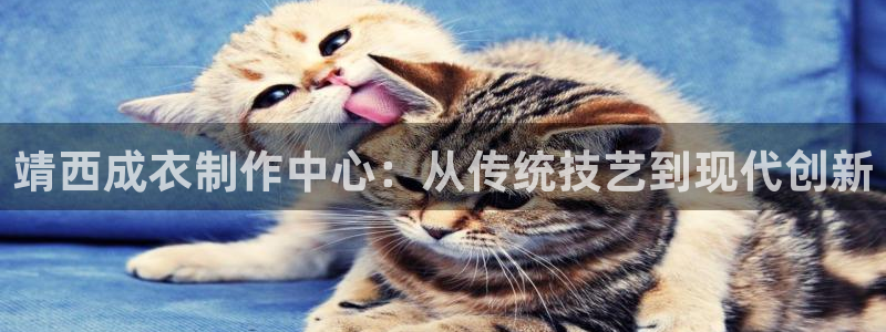 天辰娱乐指定