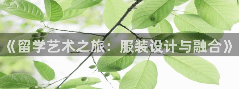 天辰娱乐视频