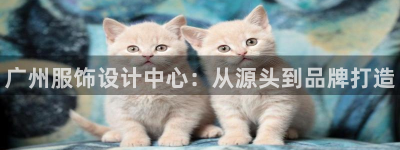 天辰娱乐ttf