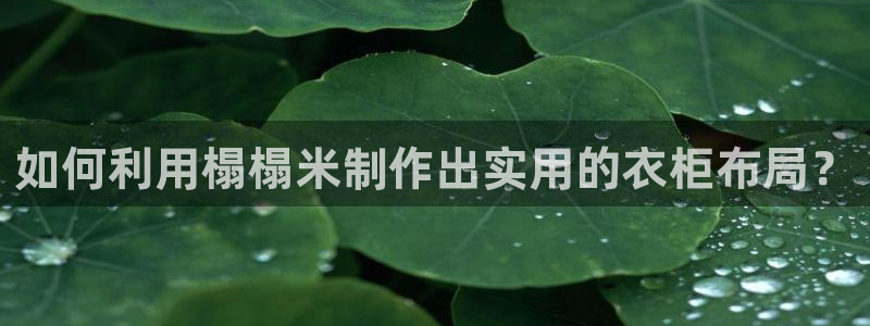 天辰 娱乐