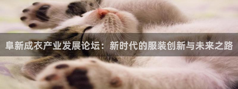 天辰娱乐官网
