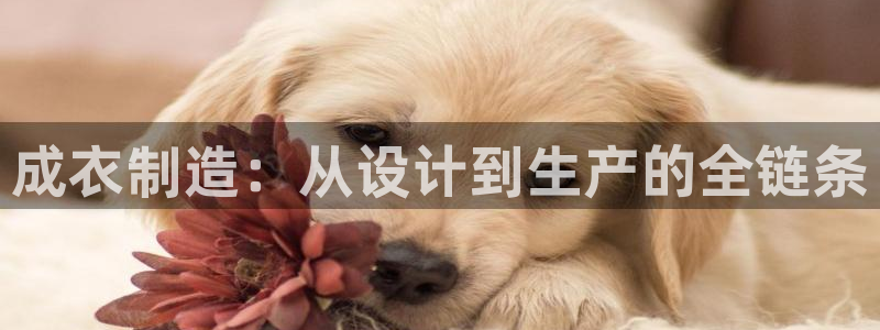 天辰娱乐地址