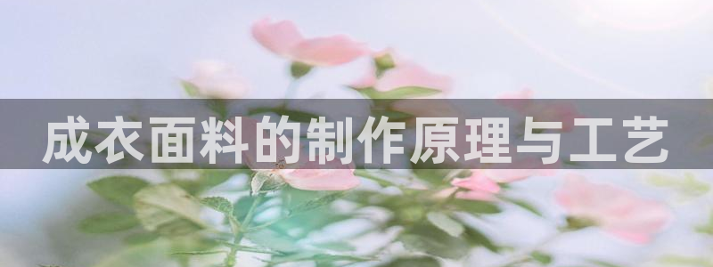 天辰娱乐官方登录入口