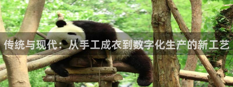 辰天娱乐用品