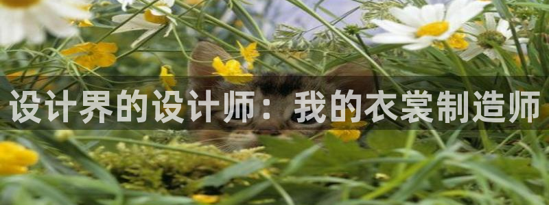 天辰娱乐官网平台下载