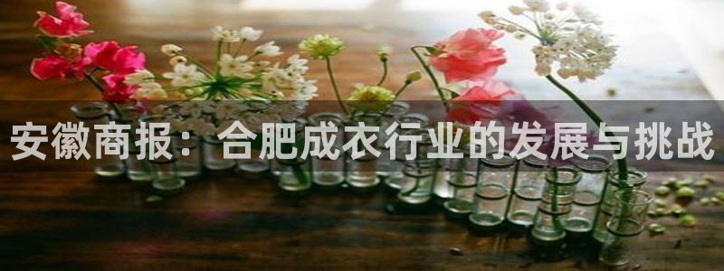 天辰娱乐官