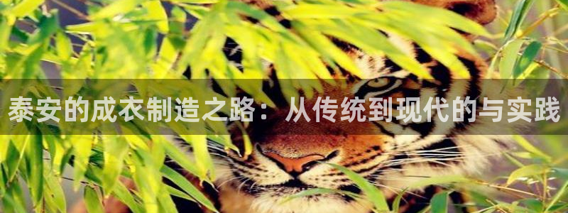 天辰娱乐官网平台下载
