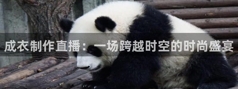 天辰娱乐平台入口
