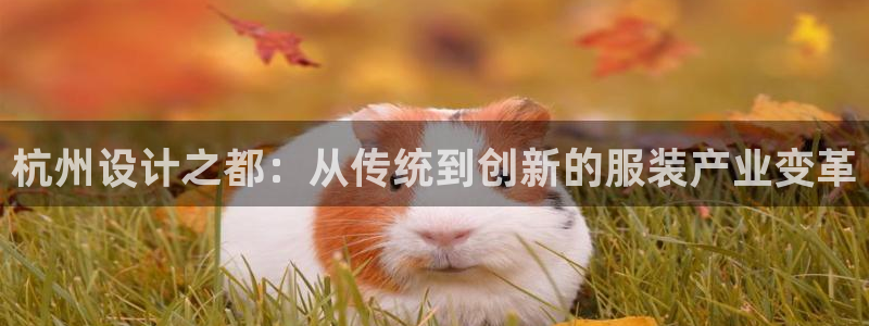天辰娱乐跑的快