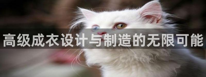 天辰娱乐官网平台入口