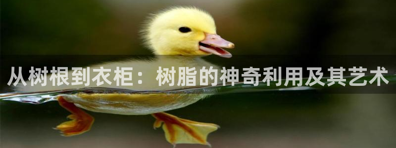 天辰娱乐首页