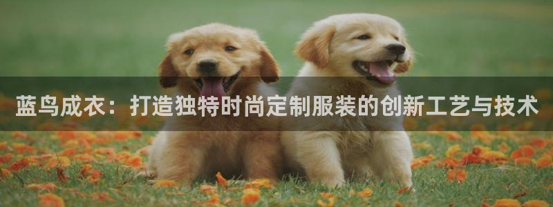 天辰娱乐下载链接
