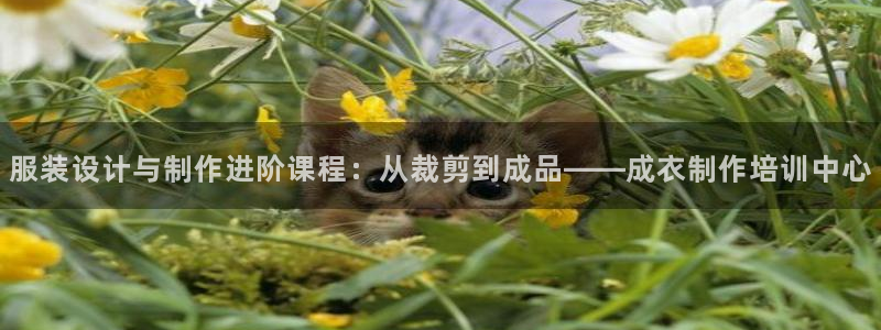 天辰娱乐官方登录下载