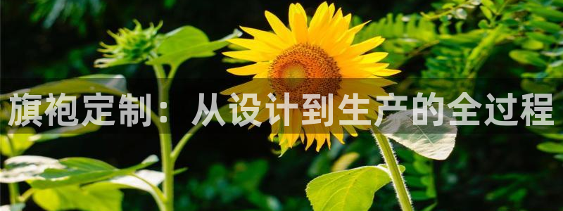 天辰团队贝高娱乐