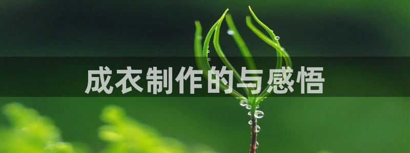 天辰娱乐平台app下载