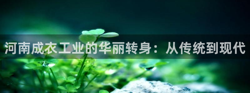 天辰娱乐 . 鱼刺