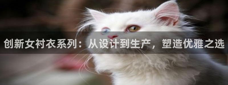 天辰娱乐网址娱乐游戏