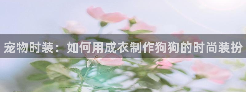 天辰娱乐平台地址在哪里