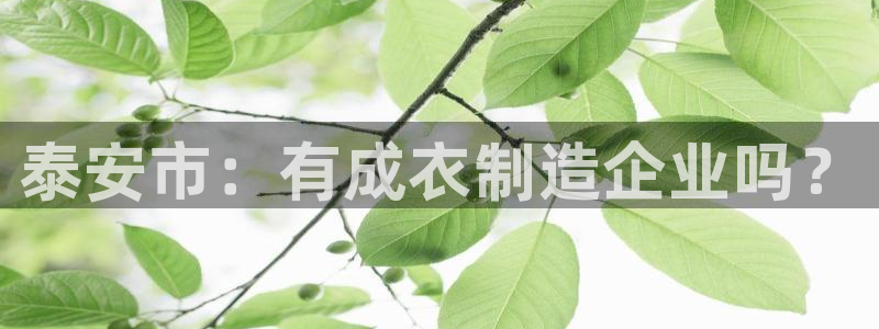 天辰娱乐怎么样