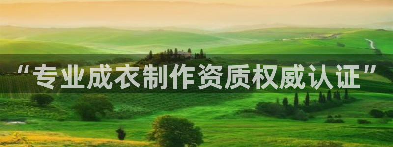 天辰娱乐官网平台入口