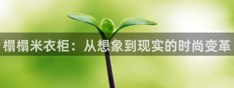 天富娱乐天辰娱乐