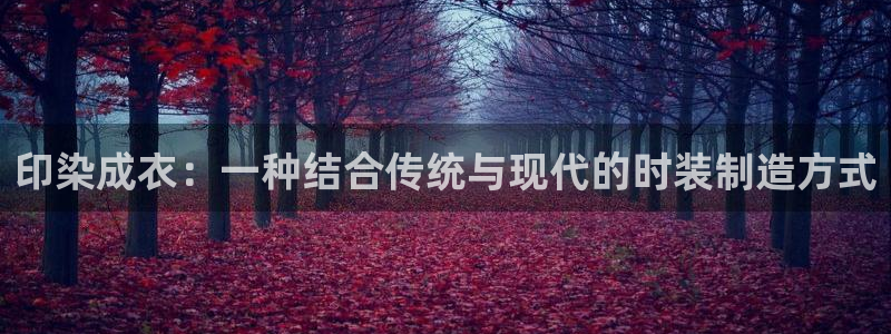 菲律宾天辰娱乐