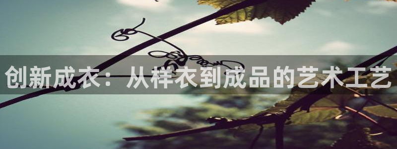 天辰娱乐总管年薪