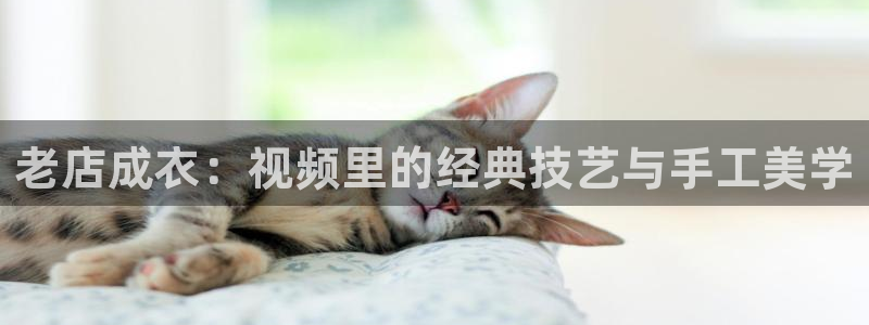 天辰宝娱乐