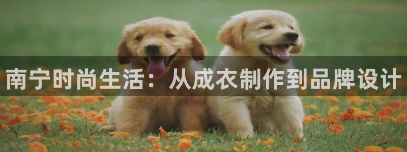 哈尔滨天辰娱乐