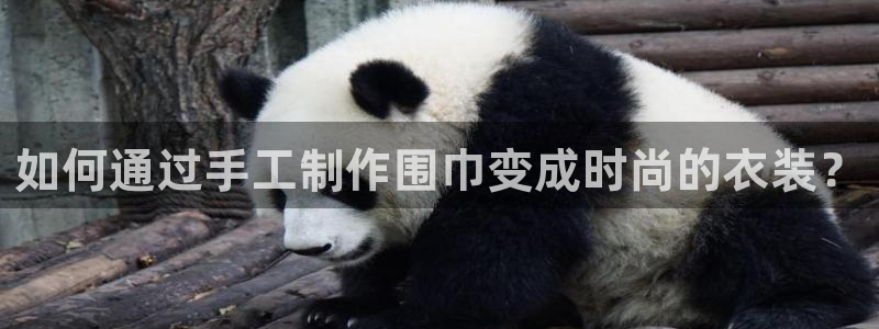 天辰娱乐平台地址在哪里