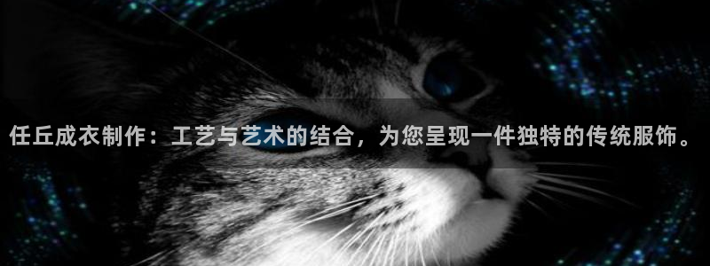 天辰娱乐招商