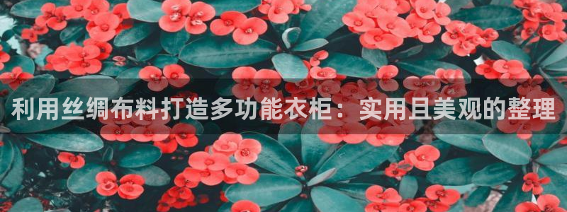 天辰娱乐股东